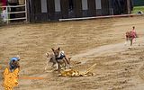 Deutsches Derby Hamburg 2014 (1009)